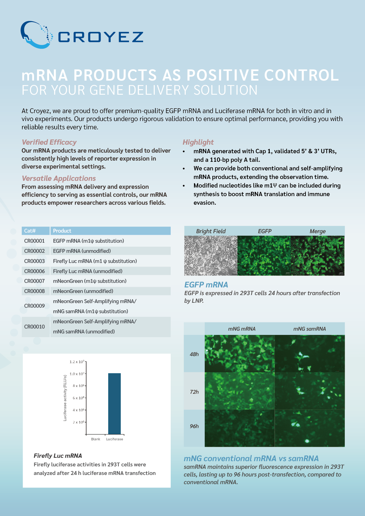 GMP Recombinant Protein IL-18